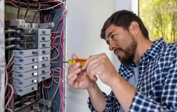 Best Generator Installation Services  in Williston, SC